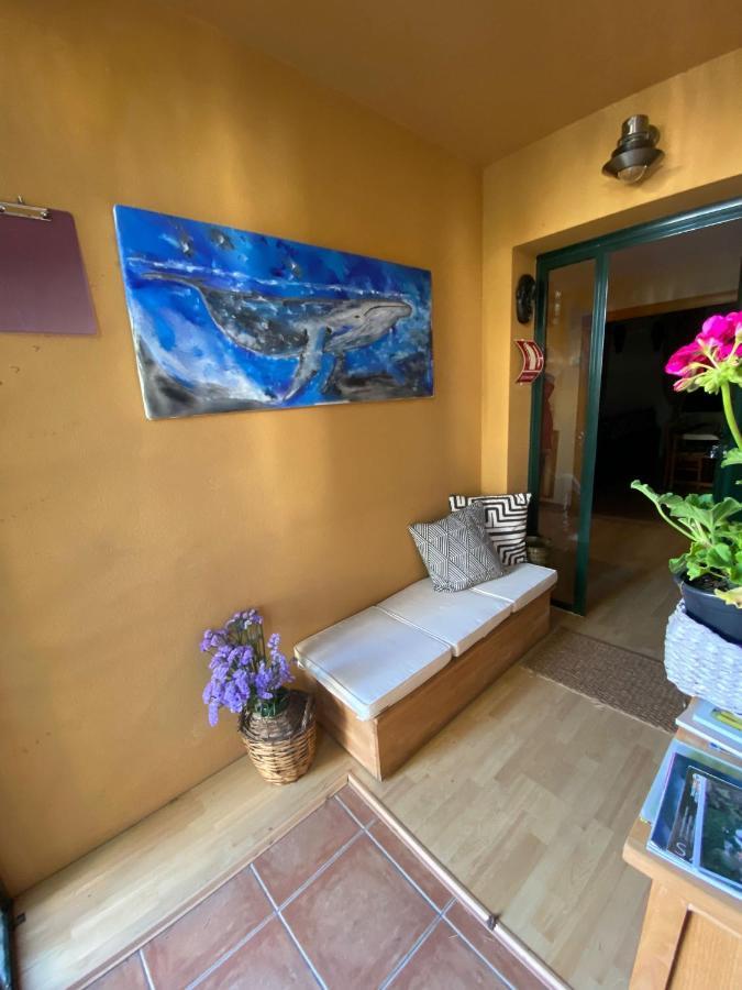 Casa Loureal Ribeira Sacra Ourense Eksteriør bilde